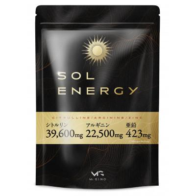 ふるさと納税 養老町 【毎月定期便】シトルリンサプリアルギニン亜鉛マカ配合Mr.GINOソルエナジー30日180粒全4回