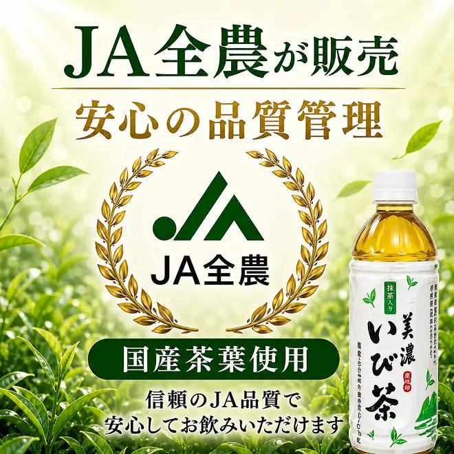 美濃いび茶(抹茶入り）500ml　1ケース24本入 お茶 緑茶 ペットボトル 緑茶飲料 