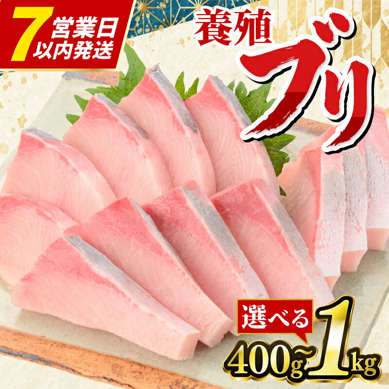 【ふるさと納税】ぶり 刺身 冷凍 400g 1000g お刺身 ロイン 切り身 ブロック ぶりしゃぶ 海鮮丼 漬け丼 魚 鰤 ブリ ぶり ハマチ はまち 刺身 お刺身 海鮮丼 漬け丼 しゃぶしゃぶ 鍋 ロイン スキンレスロイン フィレ 簡単 皮なし お手軽 切身 10000円 高知県 宿毛市