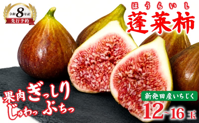 
                  【先行予約】数量限定！ いちじく 蓬莱柿 12～16玉 日本いちじく 無花果 数量限定 予約 イチジク 甘露煮 ジャム コンポート 食物繊維 大きめ 旬 果物 くだもの 人気 フルーツ 秋 秋の味覚 うまい 日本イチジク 新発田 五十公野 お取り寄せ 農家直送 冷蔵 新潟県 新発田市 アサカ農園 asaka003
                