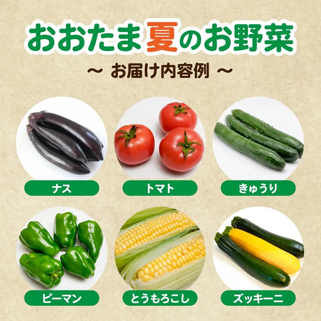 【ふるなびWEEK対象】【3回定期便】野菜定期便 野菜セット 3ヶ月 3回 （毎回10種類前後発送）