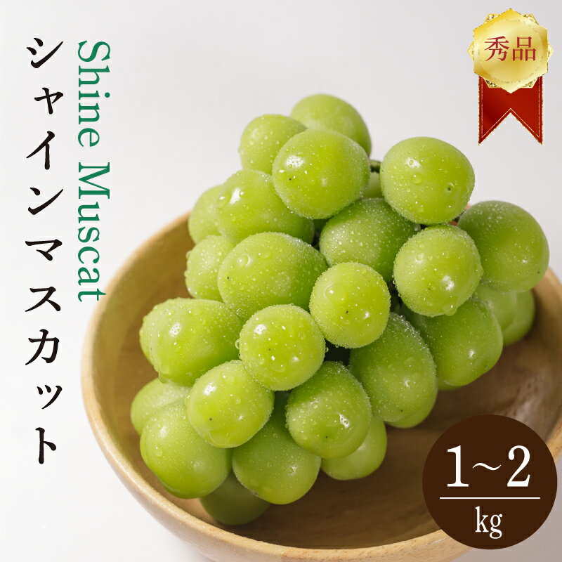 【ふるさと納税】 【先行予約 2026年8月下旬から発送】 シャインマスカット 1kg または 2kg 秀品 シャインマスカット マスカット ますかっと ぶどう ブドウ 葡萄 種無し 果物 くだもの フルーツ 旬 期間限定 愛媛県 松山市