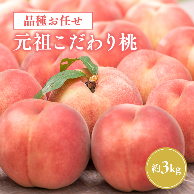 2025年産 先行予約【品種おまかせ:8月中旬～9月発送予定】元祖のこだわり桃 約3kg