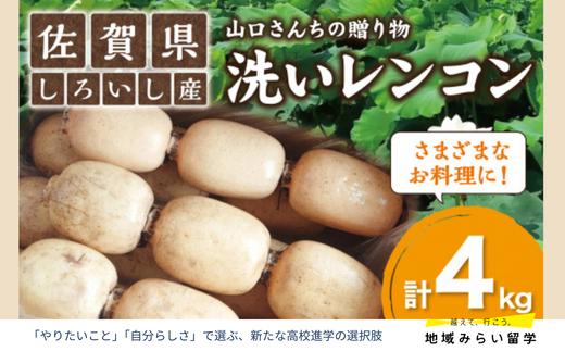 
                  【山口さんちの贈り物｜佐賀県しろいし町産】産地直送「洗いしろいし蓮根」4kg
                