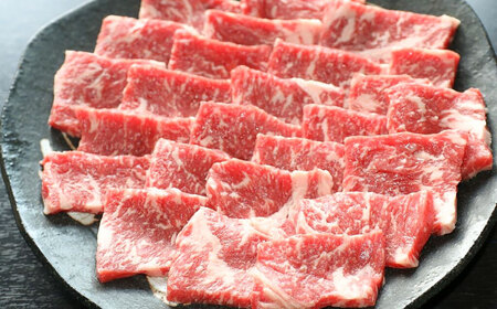 【全6回定期便】GI認証 くまもとあか牛 焼肉 約500g 計約3kg / 霜降り 高品質 あか牛 牛肉 熊本県 菊陽町【菊陽町(阿蘇牧場)】[BHAZ027]