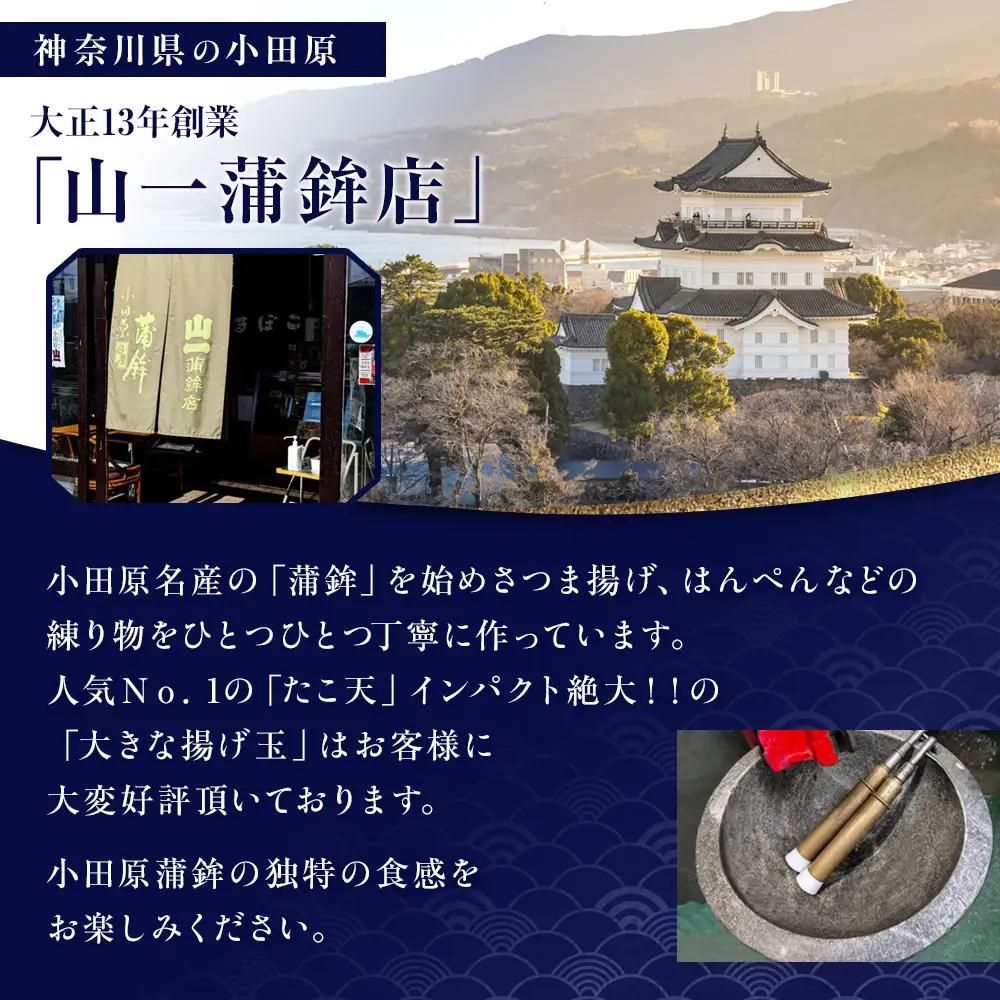 《小田原市 山一蒲鉾店》小田原名産 蒲鉾(白)1本 焼き蒲鉾1本 贈答品 自宅用 【 神奈川県 小田原市 かまぼこ かまぼこ】