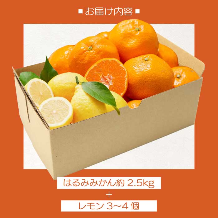【おくはち農園】はるみ 2.5kg レモン3～4個《2026年2～3月発送予定》栽培期間中 防腐剤 ワックス 不使用 旬 柑橘 かんきつ フルーツ 果物 瀬戸内 166024