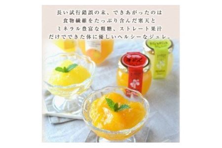 伊藤農園 ピュアフルーツ寒天ジュレドリンクタイプ きよみ 12本セット(B638-3)