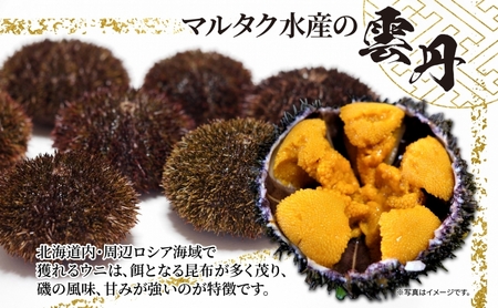 訳あり うに ロシア産 バフンウニ 塩水パック 100g×2 ウニ