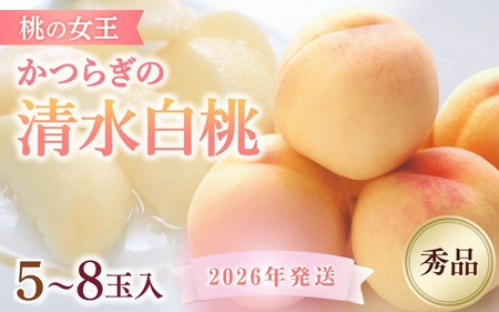 桃 白桃  ☆2026年先行予約☆ 和歌山県産 桃の女王『清水白桃』 5～8玉入り 秀品【2026年7月中旬から8月上旬ごろ発送】【S96021-mtgn065A】