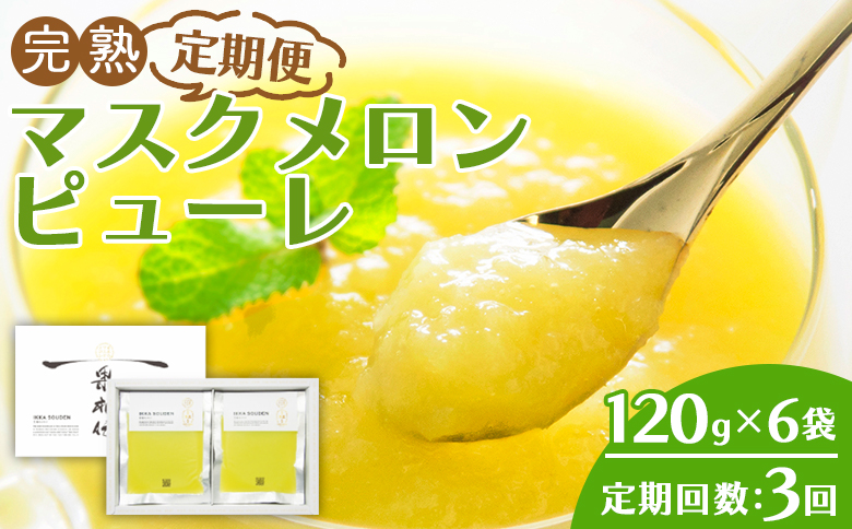 【3回定期便】完熟マスクメロンピューレ 120g×6袋 Wtn-0031