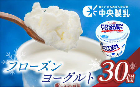 フローズンヨーグルト 30個  ヨーグルト 中央製乳