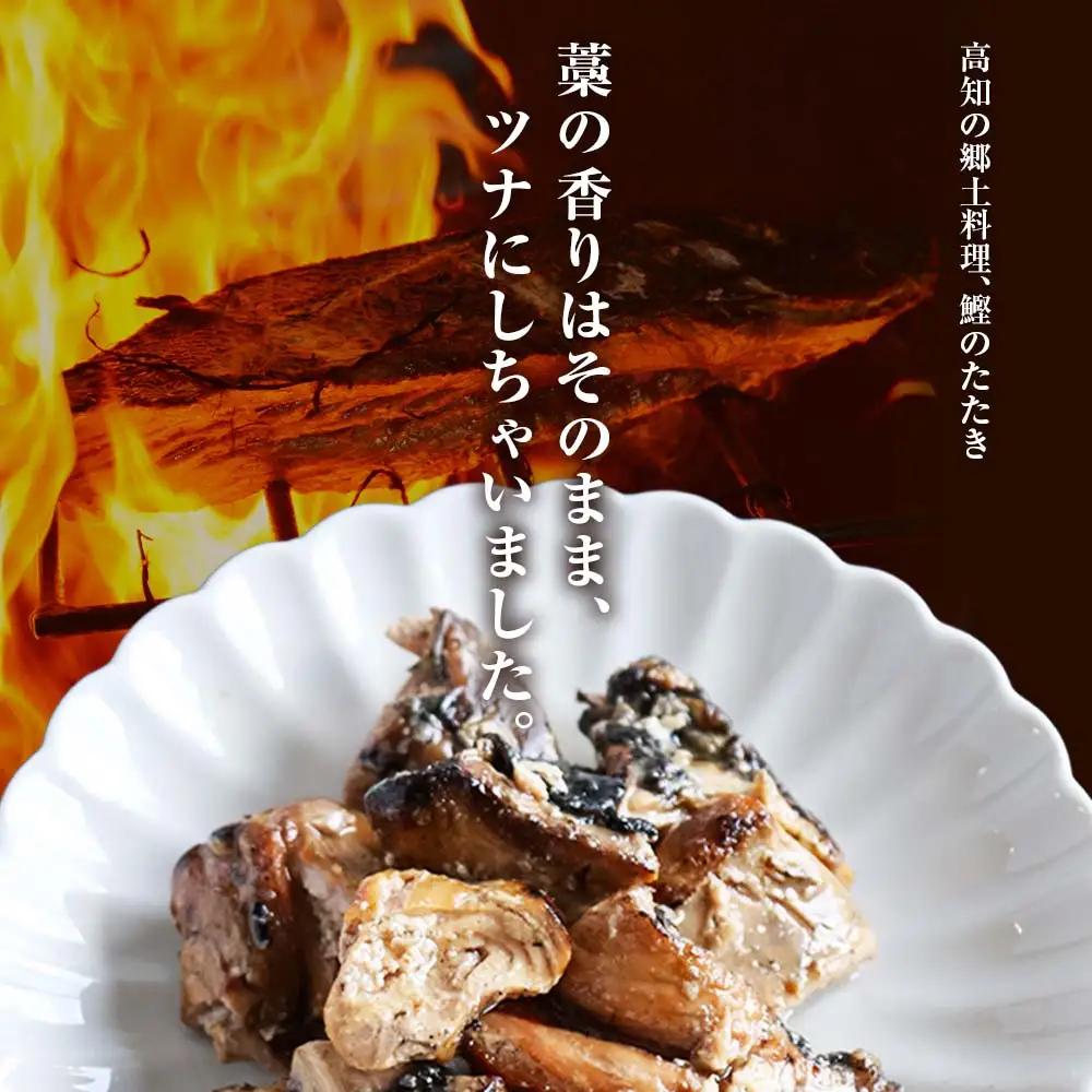 鰹ツナパウチ 100g×20袋セット 高知県土佐市 【企業組合　宇佐もん工房】 [BQAB066]