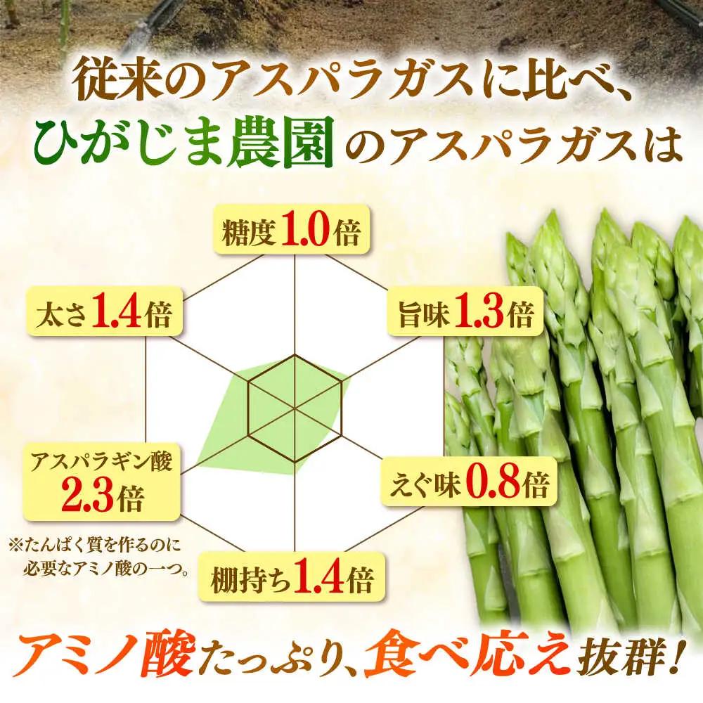 【先行予約 2027年3月～発送】春芽アスパラガス 約1kg / アスパラ [ICW001]