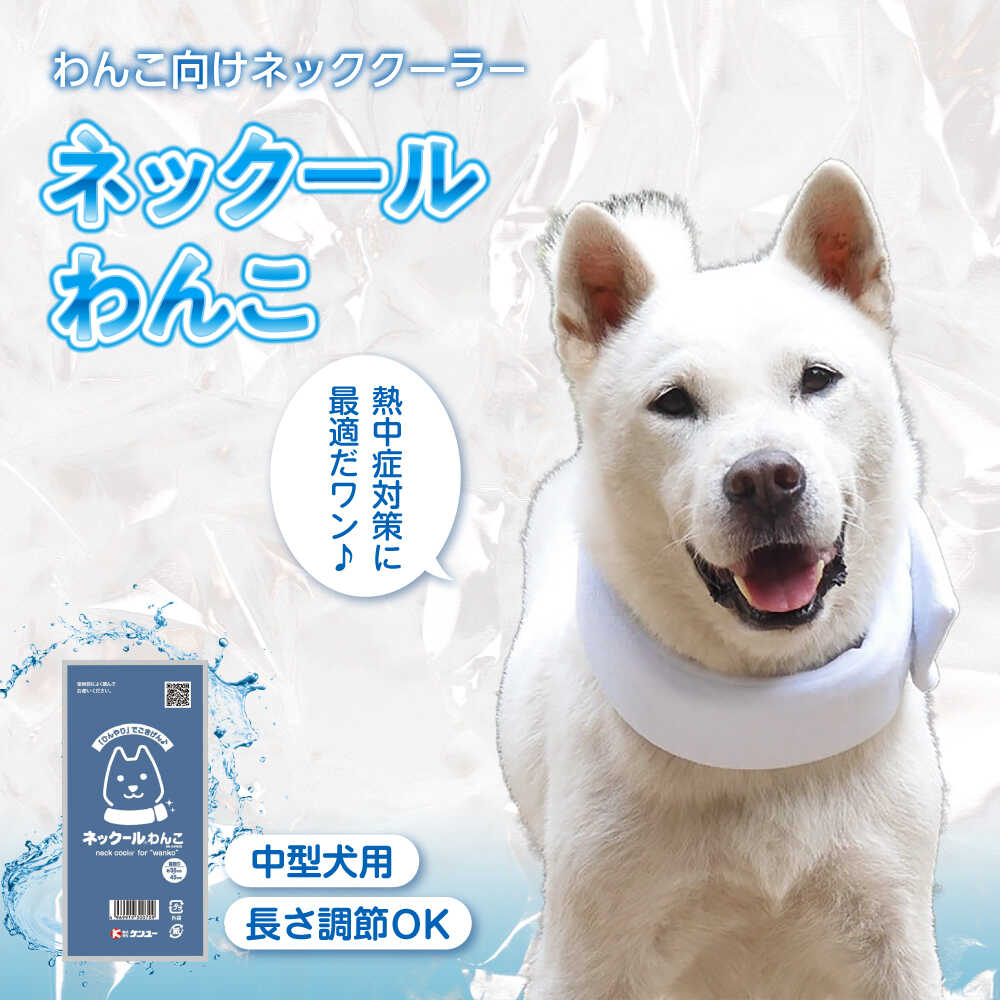 【ふるさと納税】ネックールわんこ（2個セット） おすすめ 人気 暑さ対策グッズ 夏 散歩 犬用 ネッククーラー ひんやり 熱中症対策 冷却 冷感 冷たさ持続 愛犬 ひんやりグッズ 首 わんこ ペット 軽い 繰り返し使える 広島県福山市/株式会社ケンユー[BACL008]