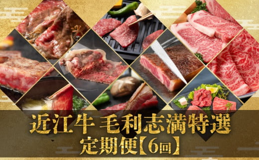 【 定期便 】 近江牛 食べ比べ 全6回 焼肉 すき焼き しゃぶしゃぶ サーロイン ステーキ 赤身 霜降り （ 定期便 肉 黒毛和牛 お弁当 ブランド 近江牛 毎月 三大和牛 滋賀県 竜王 神戸牛 松阪牛 に並ぶ 日本三大和牛 ふるさと納税）