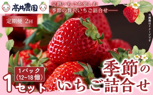 【定期便2回】【朝採れ直送のご褒美苺】季節のいちご詰合せ 1パック約12～18個 いちご 果物 フルーツ 大粒 濃厚 産地直送 詰め合わせ ギフト 贈答用 兵庫県 福崎町