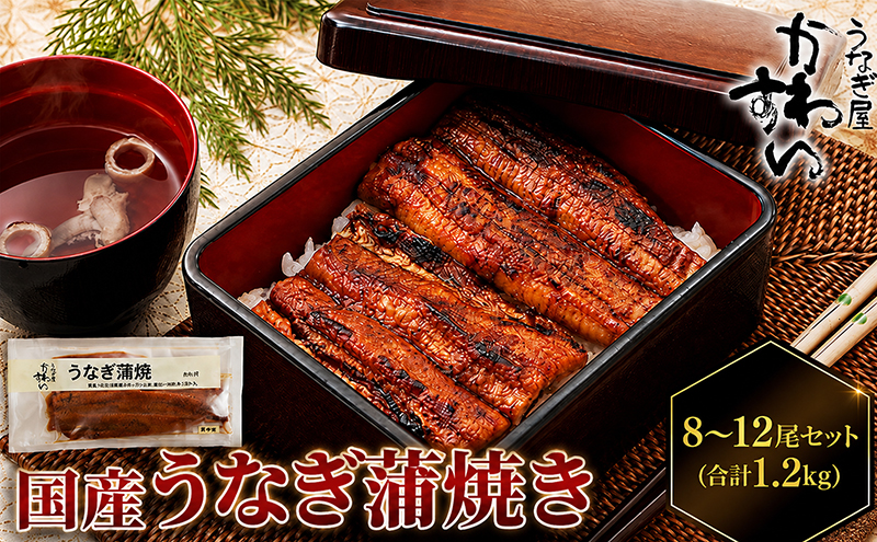 国産うなぎ  蒲焼き 8～12尾セット(合計1.2kg) タレ付き 国産 うなぎ ウナギ 鰻 蒲焼 かば焼き セット 惣菜 冷凍