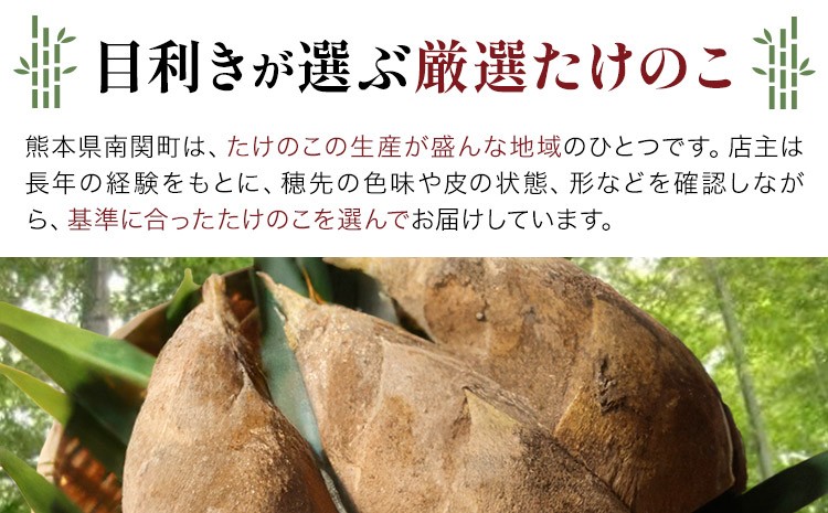 「厳選のたけのこをお楽しみください。朝堀」の土がついたままの状態でお届けします。