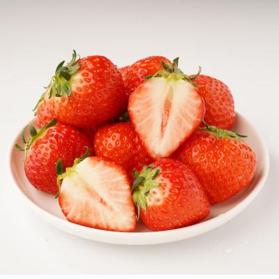 ふるさと納税 坂出市 【発送月固定定期便】坂出市フルーツ定期便全12回 |  | 03