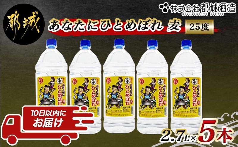 【都城酒造】あなたにひとめぼれ 麦(25度)2.7L×5本 ≪みやこんじょ特急便≫_AF-0790