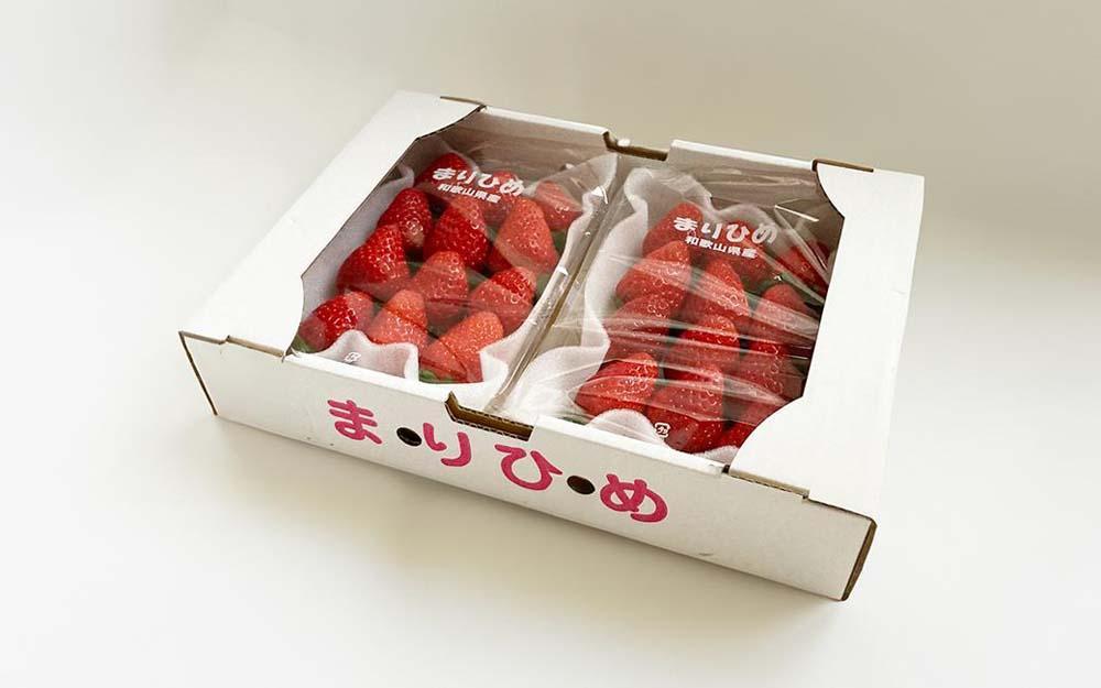まりひめイチゴ L〜２L 12粒〜15粒×2パック【2025年1月初旬から発送】【先行販売】【KG7】