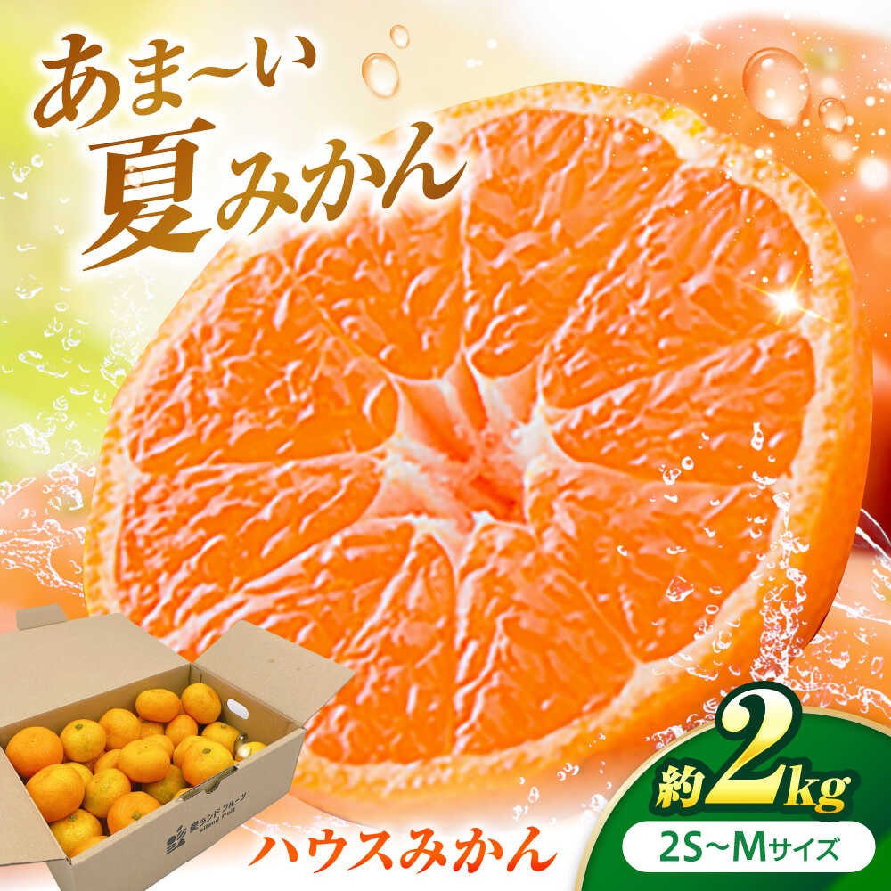 【ふるさと納税】ハウスみかん 2kg 【7月下旬から9月下旬まで順次発送】 / フルーツ 果物 蜜柑 ミカン オレンジ 小玉 甘い 先行予約 2kg 愛媛 果汁 人気 おすすめ フルーツギフト 旬の果物 旬 さっぱり 柑橘 / 愛媛県砥部町/株式会社フジ・アグリフーズ[BJBI001]