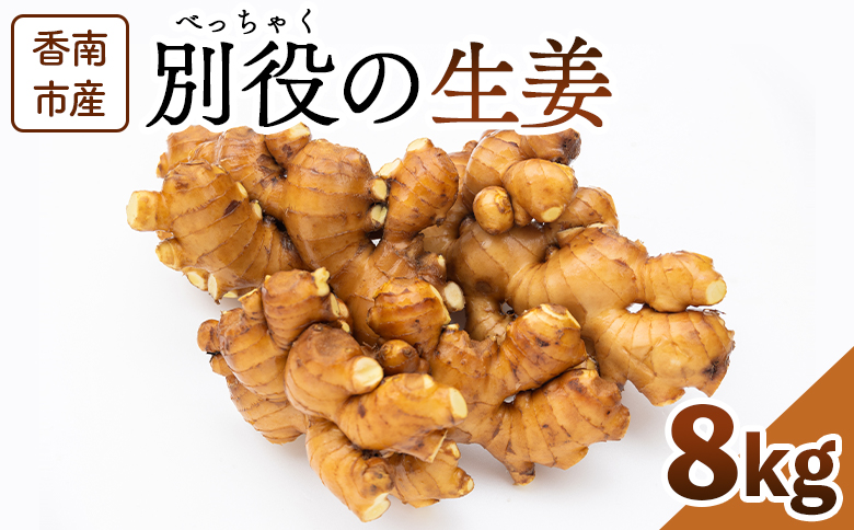 生姜 8kg 香南市産 別役の生姜 - しょうが ショウガ ジンジャー 薬味 調味料 国産 株式会社べっちゃく 高知県 香南市 bc-0027