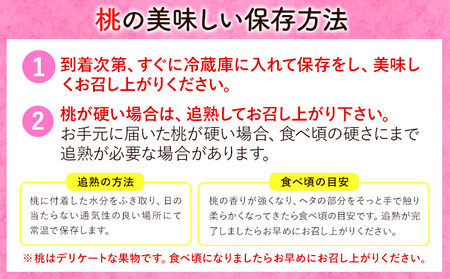 【予約受付】 あら川の桃 約2kg 5-7玉 室谷青果 《2026年6月下旬-7月中旬頃出荷》 