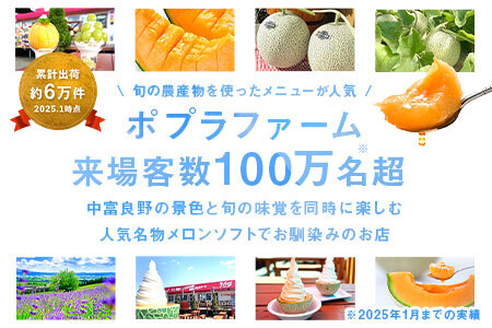 【2026年発送】【ポプラファーム】富良野メロン大玉1玉（2㎏以上秀品）【BC-001】