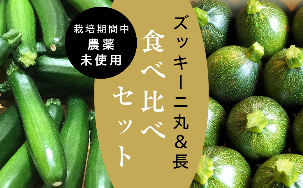 
＜2024年6月中旬より順次発送＞＜数量限定＞栽培期間中農薬不使用「長&丸ズッキーニ食べ比べ」【1410942】
