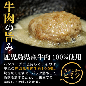 No.1226 ＜定期便・全3回(連続)＞ハンバーグ専門店の牛肉100％ハンバーグ ソース2種付！(140g×5個×3回・総容量2.1kg) 鹿児島県産 お肉 デミグラス 和風 おかず 惣菜 保存料/