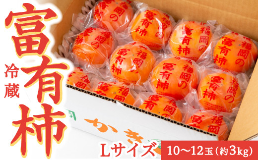 【先行予約】伊藤園 冷蔵富有柿  （Lサイズ） 10玉～12玉 約3kg 【2025年12月中旬から12月下旬出荷予定】 ／ 富有柿 柿 果物 フルーツ くだもの うきは市