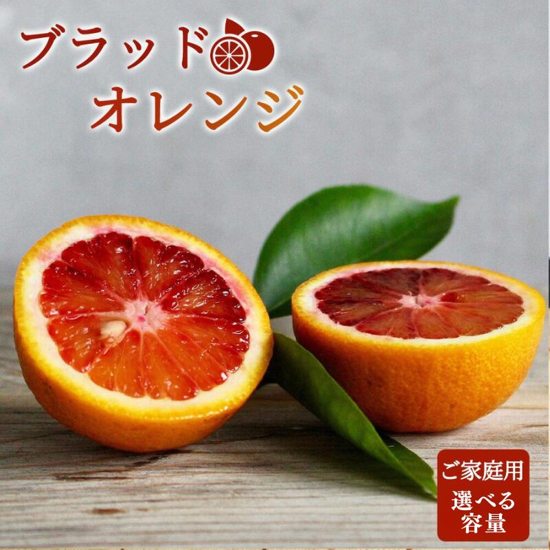 【ふるさと納税】希少な柑橘!紀州有田産ブラッドオレンジ選べる容量 約3kg ・約5kg【ご家庭用】※2026年3月上旬頃〜3月中旬頃に順次発送 (お届け日指定不可)