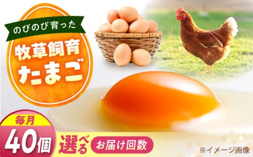 天心山 たまご 40個 【回数が選べる定期便】【全6回定期便】卵 たまご 高級 食品 たまごかけご飯 卵かけご飯 卵焼き 生卵 濃厚 ケーキ お菓子 づくり ランキング 上位 人気 おすすめ 定期便 ふるさと納税 20個 TKG 産地直送 新鮮 鶏卵 平飼い 広島 福山 アグリヒーロー 朝食 産直 送料無料 広島 福山 広島県福山市/天心山ファーム [BABW031]