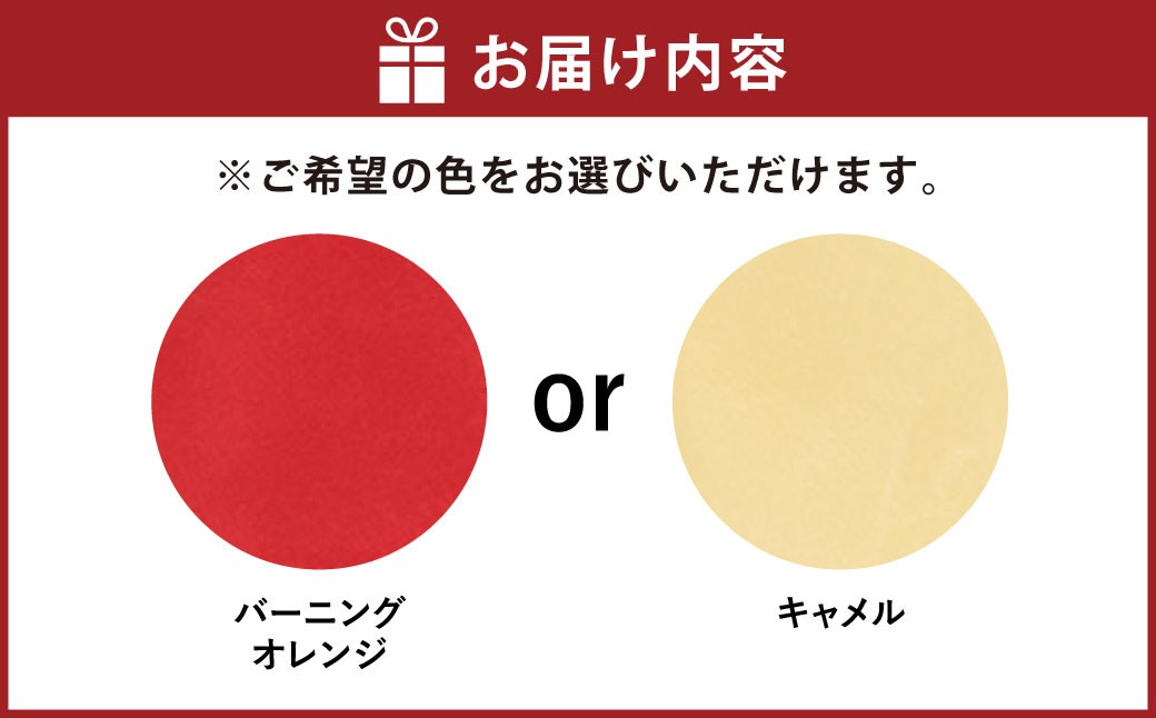 ハイゴールド 少年軟式用 キャッチャーミット 捕手用 右投げ ROOKIES RKG-111M RKG121M