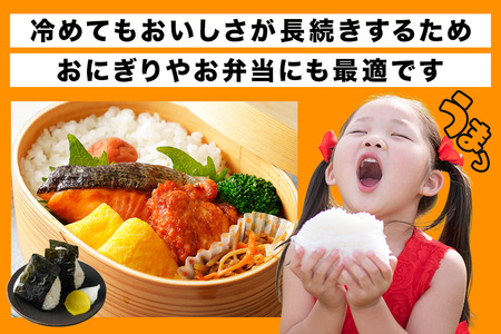 令和7年産にじのきらめき 精米 5kg 6ヵ月 定期便 (合計30kg) 米 FH-019