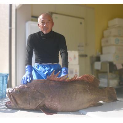 ふるさと納税 佐世保市 プレミアム天然クエ鍋 |  | 02