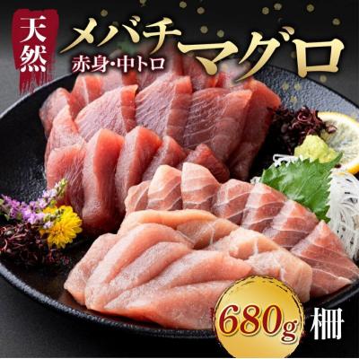 ふるさと納税 室戸市 【天然まぐろ】 中トロ・赤身　柵 計680g以上