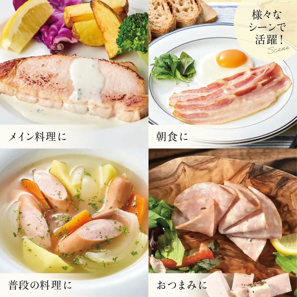 【定期便3回：2ヶ月に1度】マイスター山野井 ハム・ソーセージ 5種（計10P）ウインナー ベーコン ハム スライス 肉 豚肉 詰め合わせ 詰合せ セット 小分け 鹿児島 グルメ 冷蔵 定期配送 南さ