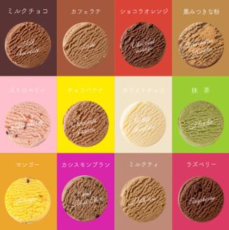 アルパジョン 新食感 ! とろける クッキー 12袋入 ベルギー産 チョコレート 使用