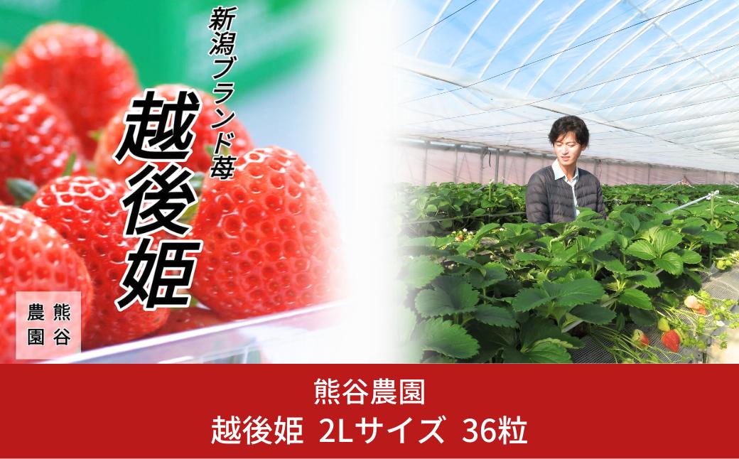 
            先行予約 越後姫 2Lサイズ 36粒 いちご [2025年4月発送予定] [熊谷農園] 【010S436】
          