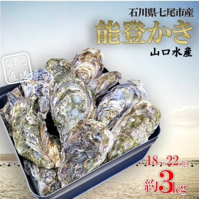 山口水産の能登かき 殻付き 3kg(18～22個入)【配送不可地域：離島・北海道・沖縄・東北・四国・九州】【1374846】