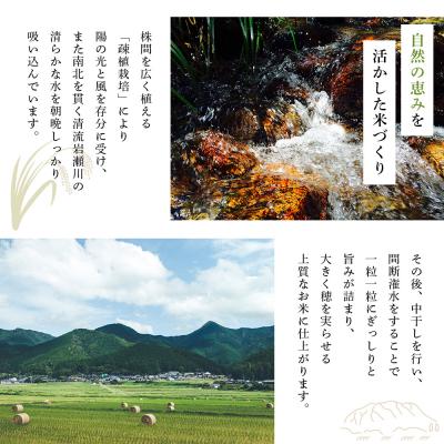 ふるさと納税 西予市 <令和7年産 新米 岩瀬川清流米 3kg 選べる こしひかり コシヒカリ |  | 03