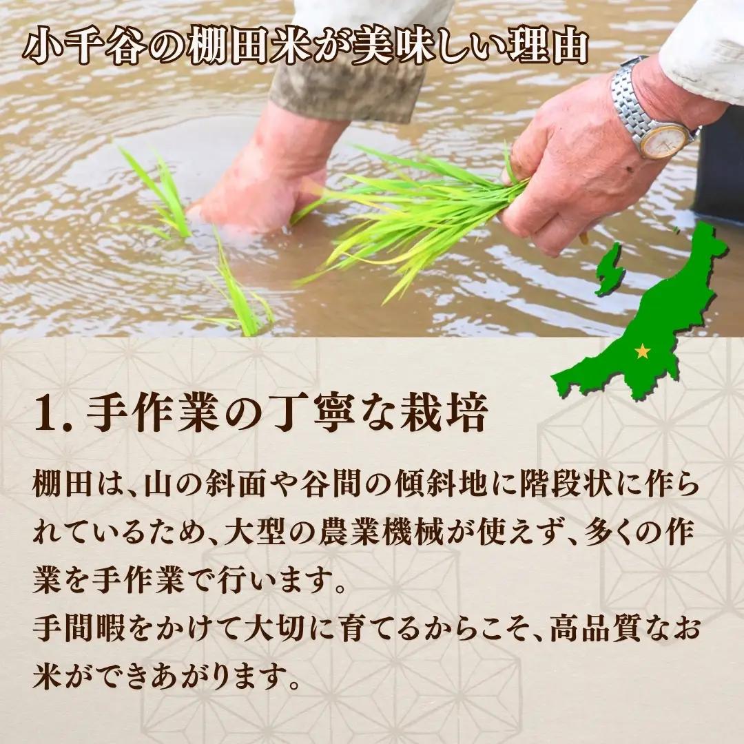 魚沼産コシヒカリ 10kg 棚田米コンテスト入賞者が栽培 | 新潟県 魚沼 米