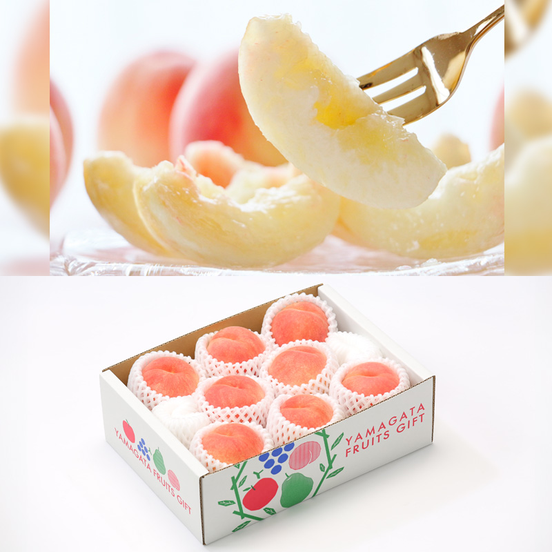 【定期便3回】☆フルーツ王国山形☆『シャインマスカット