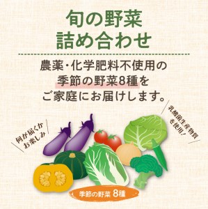 農業姉妹がこだわって栽培！旬の野菜詰め合わせ8種 1年定期便【024A-010】