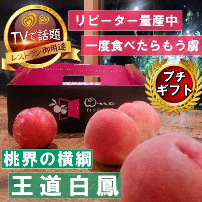 【ふるさと納税】【桃界の横綱キング白鳳】人気品種指定ギフト4年連続TV出演話題ブランド桃2025年7月上旬発送【配送不可地域：離島・北海道・沖縄県・中国・四国・九州】【1465186】