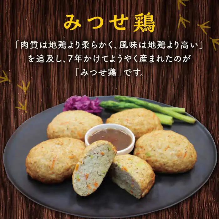 みつせ鶏 ふんわり豆腐ハンバーグ 計10個 惣菜 はんばーぐ [FAE163]