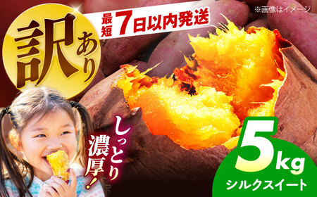 【年内発送】【訳あり】さつまいも シルクスイート 5kg[AOEJ014]さつまいも